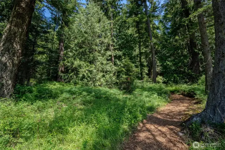 Path leads from Judith Lane into the property.