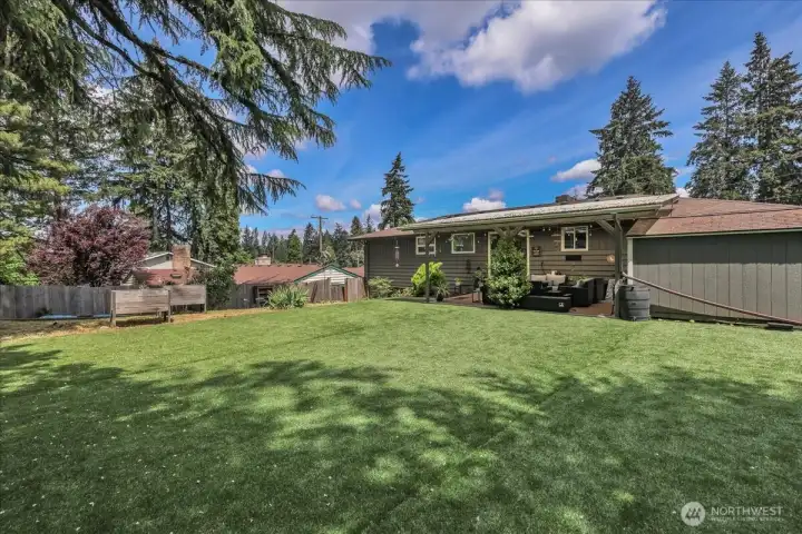 Lots of room to play in the large backyard