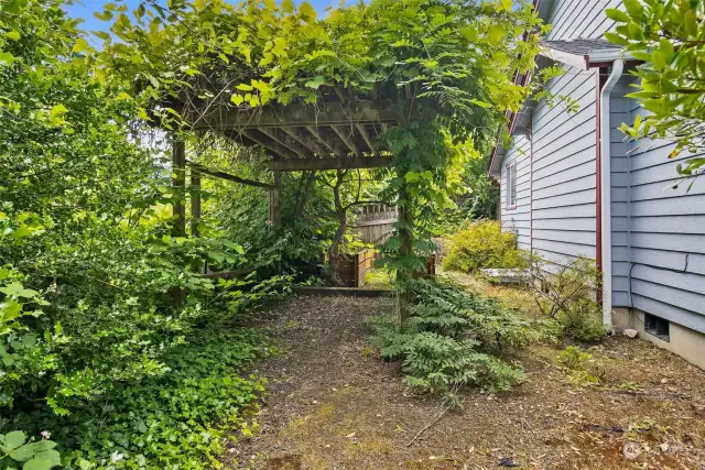 Corner lot with side yard planted for privacy from street.