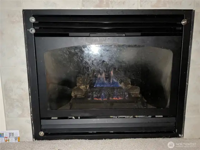 Gas fire place