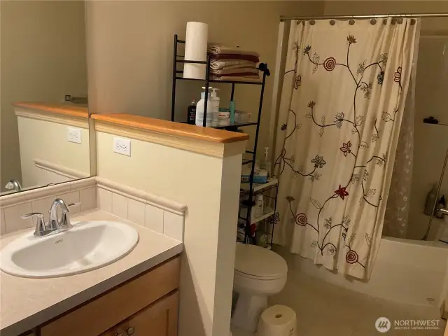 Master bathroom