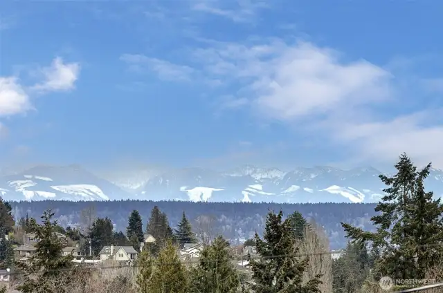 Expansive Cascade Mountain Views from Main & Primary Suite Floors!