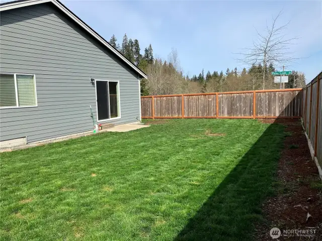 Level backyard