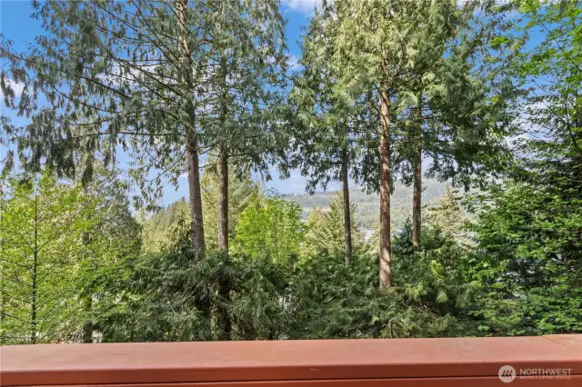 The view is better in person!