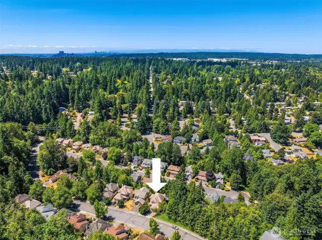 Quick Access to Bellevue, Kirkland, and Seattle