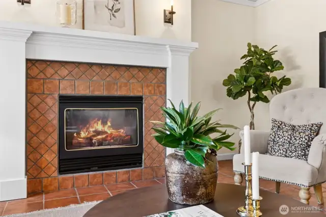 Cozy fireplace in living   room