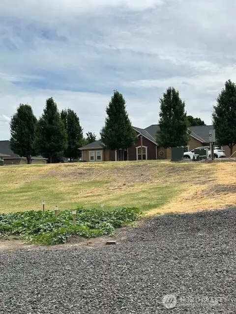 Lot 293