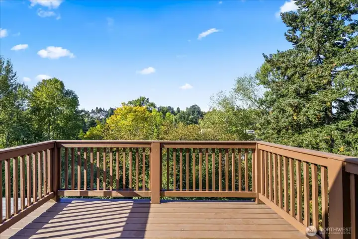 Deck off Kitchen