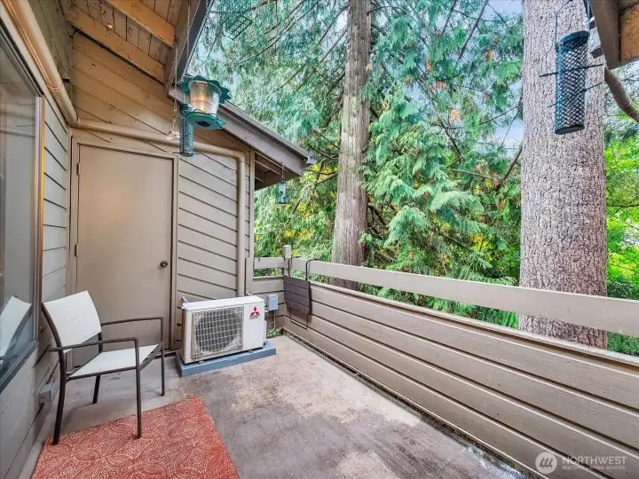 Mini-Split AC! Private patio w storage, backed up to Greenbelt!
