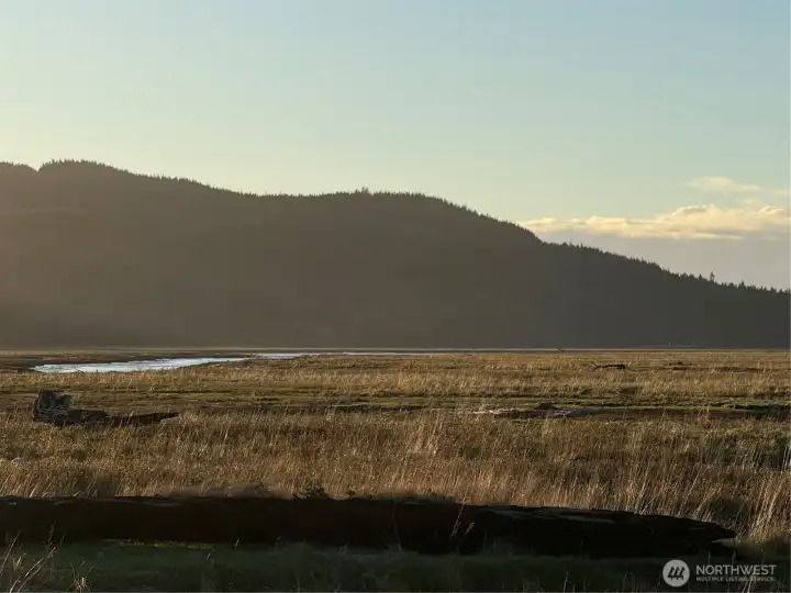 On the banks of the Naselle River