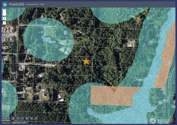 Completely surrounded by woodlands.  No wetlands!