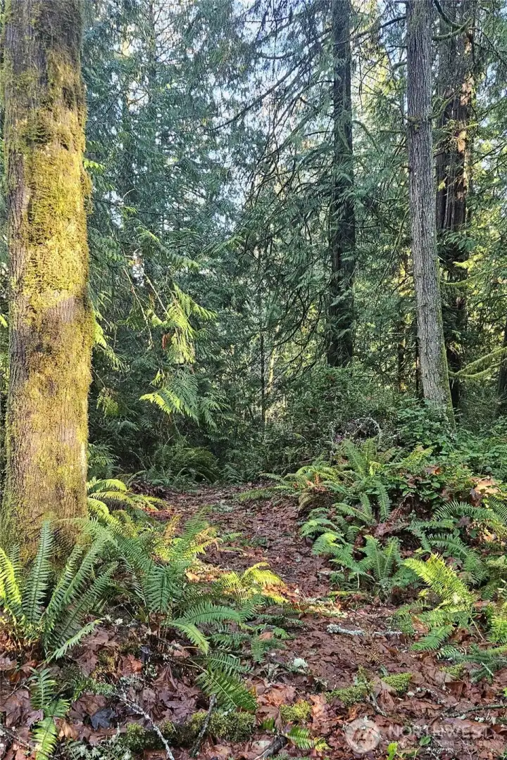 Entry to the property.