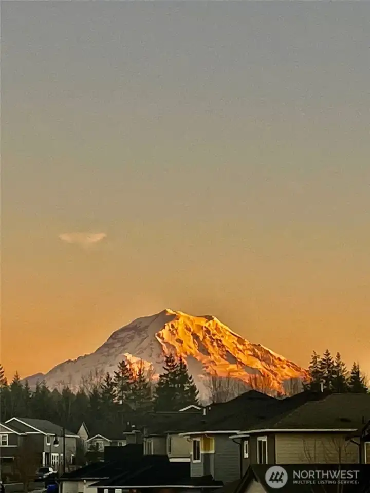 View from upstairs bedroom