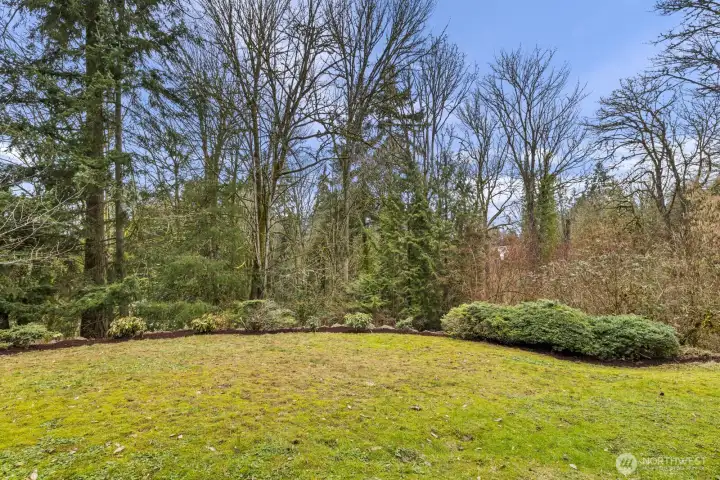 Lots of play and/or gardening space surrounded by trees.