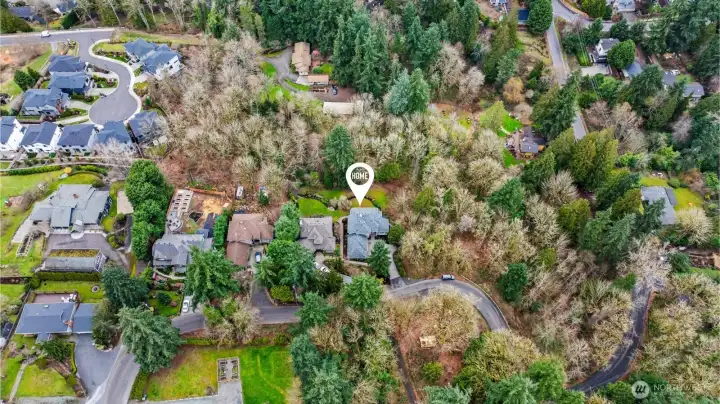 Such a private setting and yet within minutes of schools, shopping, dining, parks, and Lake Washington.