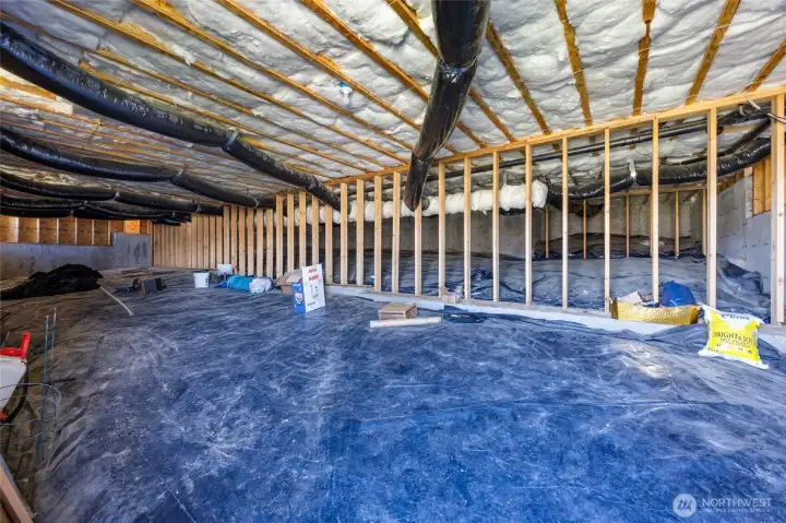 Under the house, large walk in crawl space/storage