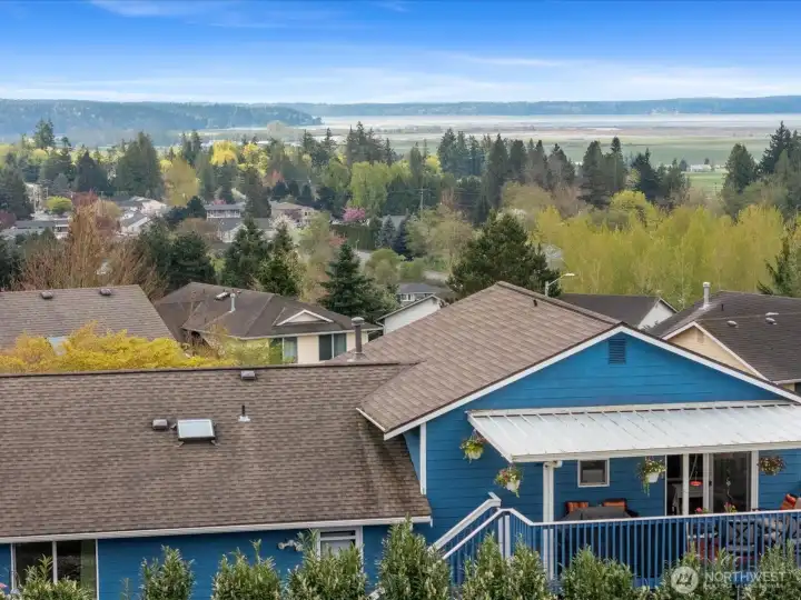 Drone back of home View