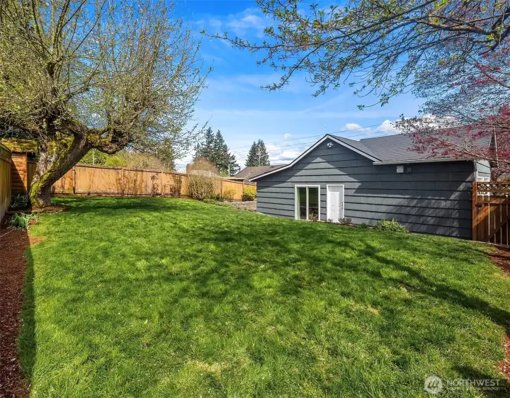 Spacious backyard.