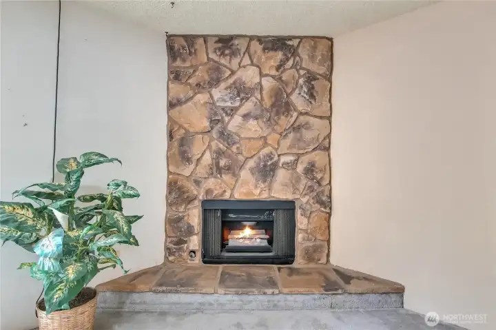 Cozy Gas fireplace and awesome look deco stone accent wall