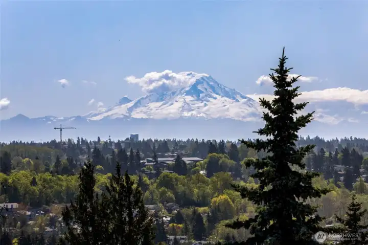 Mount Rainer view from dining room