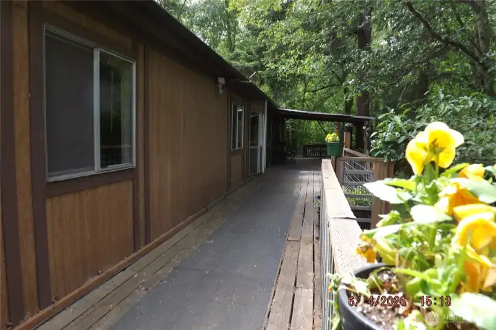 Great deck space for plants Great deck space for plants