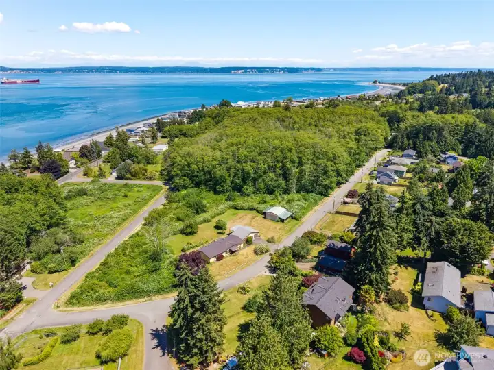Lots of space to your own, adjacent to Hansville Greenway and their trail system (the tall trees)