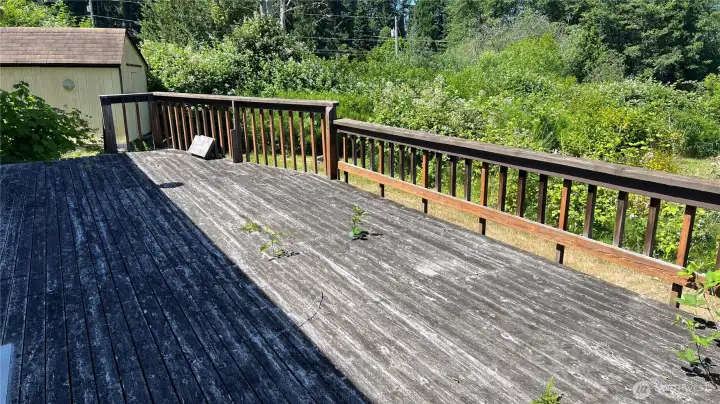 Back Patio