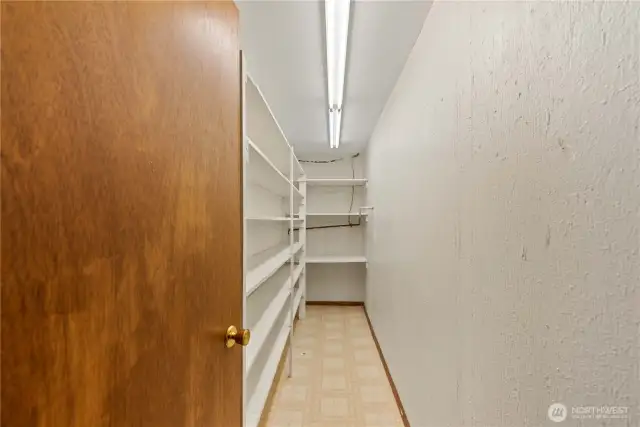Large "Costco Room" Pantry or canning goods on lower level