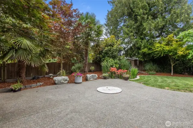 Your private backyard oasis awaits. Enjoy a huge covered patio for entertaining and stunning landscaping with built-in fire pit, water feature, and a ton of lush native and non-native plants! Two generously sized outbuildings provide ample additional storage