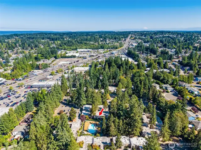Central Lynnwood location!