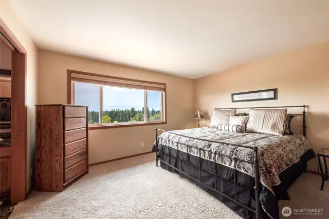 The Primary Bedroom has it all!  Walk-in Closet plus 5 piece bathroom with soaking tub.