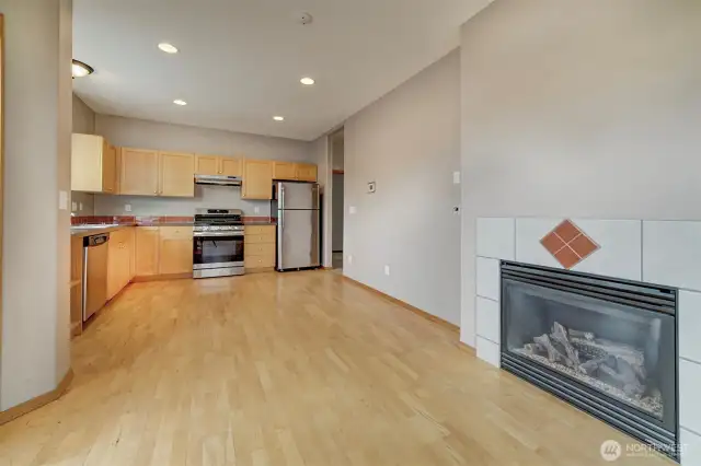 Stainless appliance