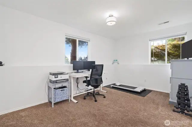 Lower Level bedroom with bath