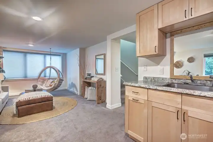 Lower level family room