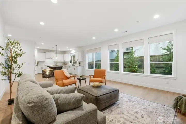 Great room, living room, kitchen, high ceilings