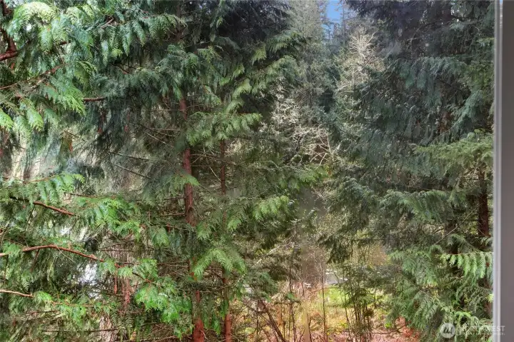 View of Blue Lake from Kitchen window