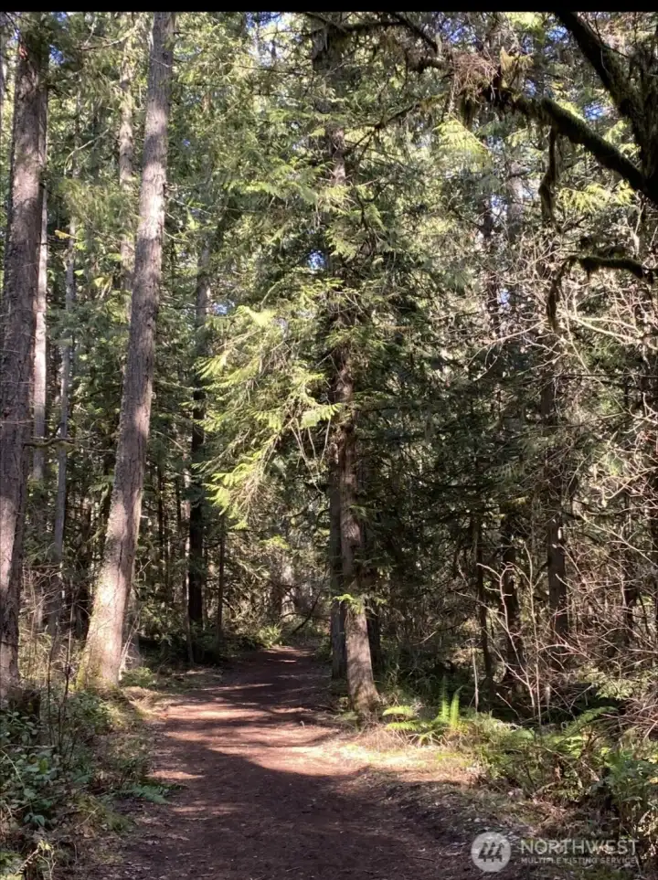 Walking path view