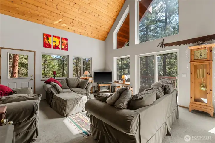 Amazing bright natural light surrounds you.