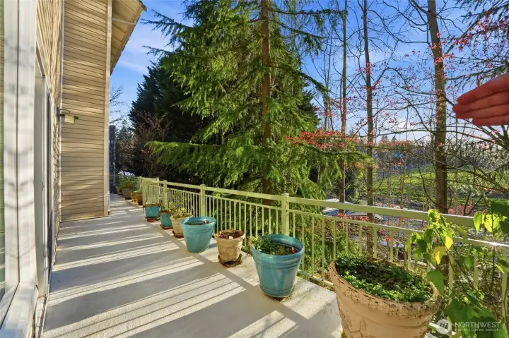 Private deck overlooking Genesee Park