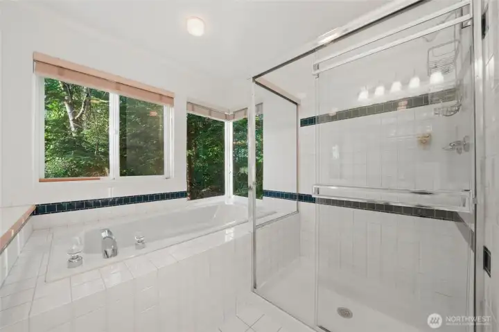 Soaking tub with a view.