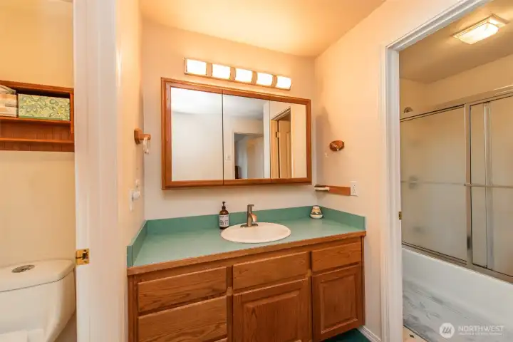 bathroom on lower level
