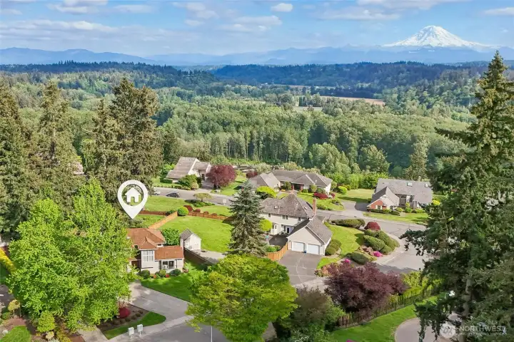 Stunning Mt Rainier views from this gorgeous home on the ridge of Lea Hill