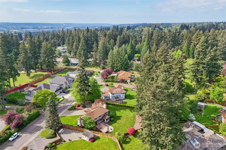 Private and serene: the lush tree canopy provides a natural buffer.