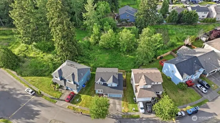 Lots of Privacy in the Backyard.