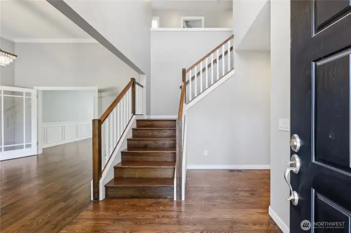 Light filled Entry - Designer lighting throughout