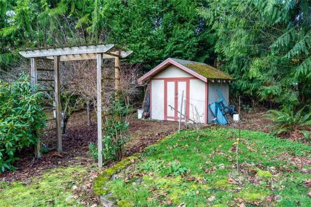 Shed for extra storage. Darling garden area