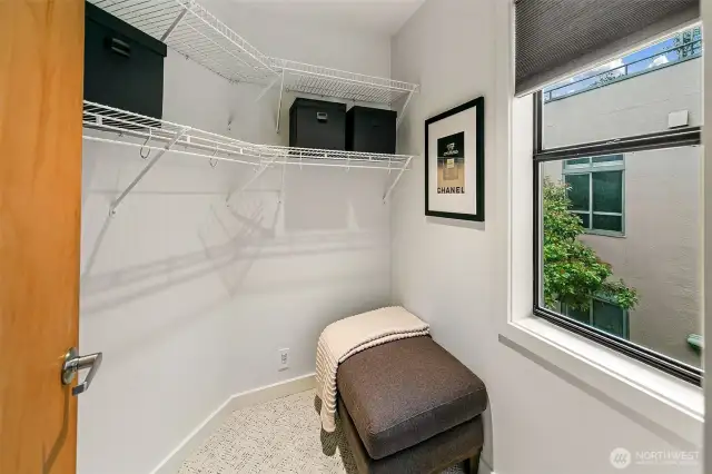 Large walk-in closet with great natural light.