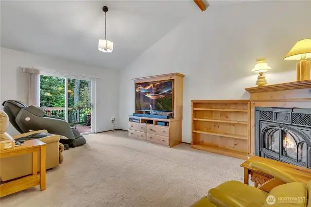 Cozy family room with built-ins is warmed by a gas fireplace and has easy access to the deck.