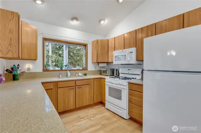 Large kitchen offers sparkling countertops and ample cabinetry for your storage needs.