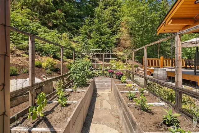 Raised garden bed with deer fence